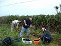 Planting Trees 006
